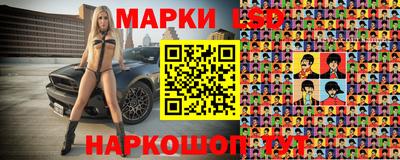 spice Кунгур